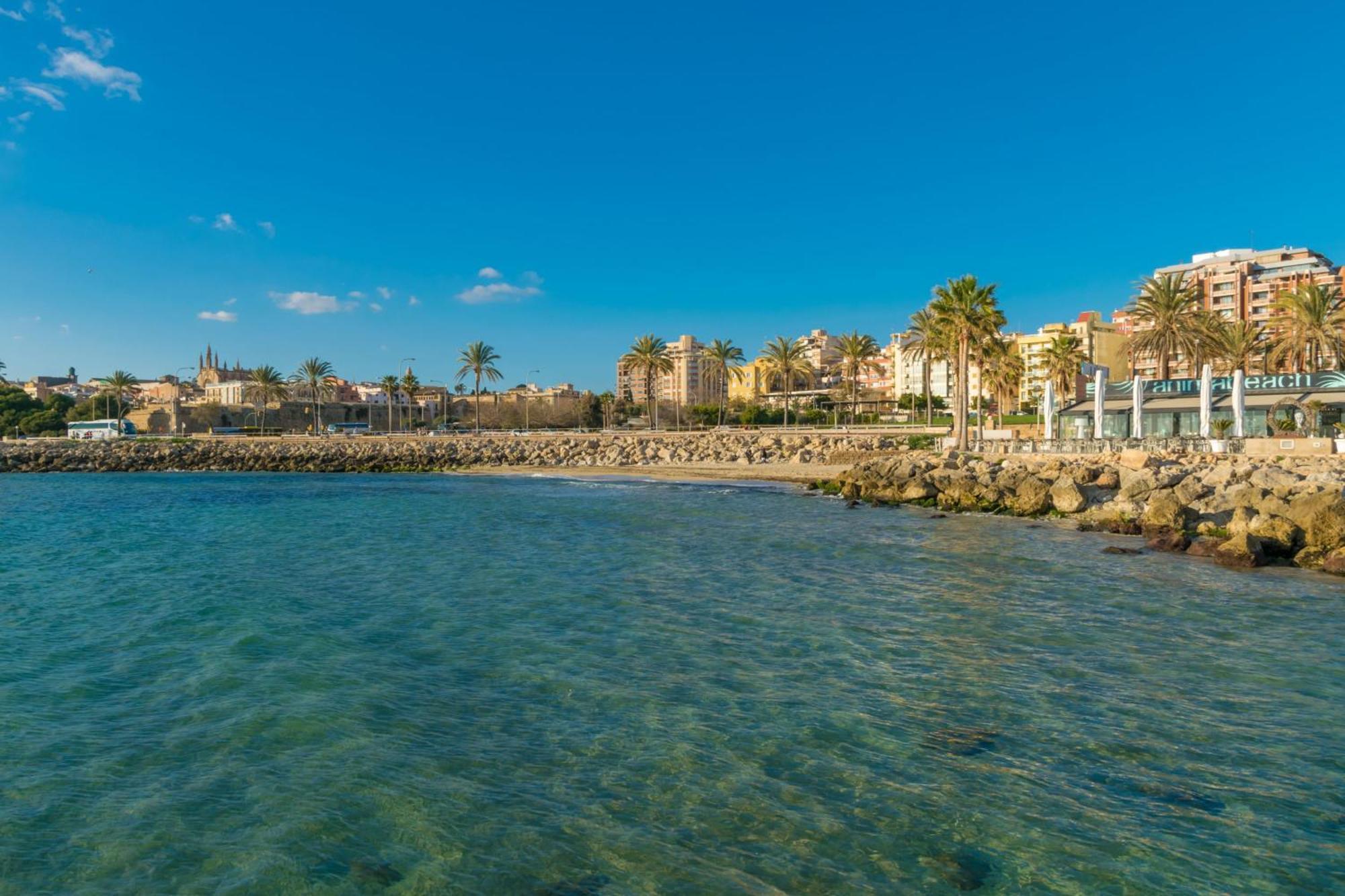 Villa Teulera Palma de Mallorca Bagian luar foto